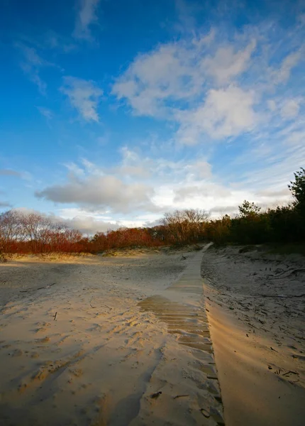 Тропинка на песке — стоковое фото