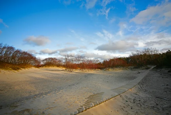 Voetpad op zand — Stok fotoğraf