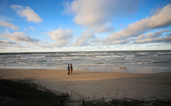 Берег Балтийского моря — стоковое фото