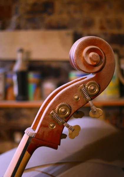 O futuro violino — Fotografia de Stock