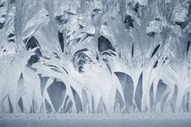 Frost on a window clipart