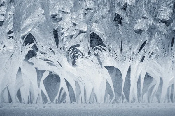 Frost auf einem Fenster — Stockfoto