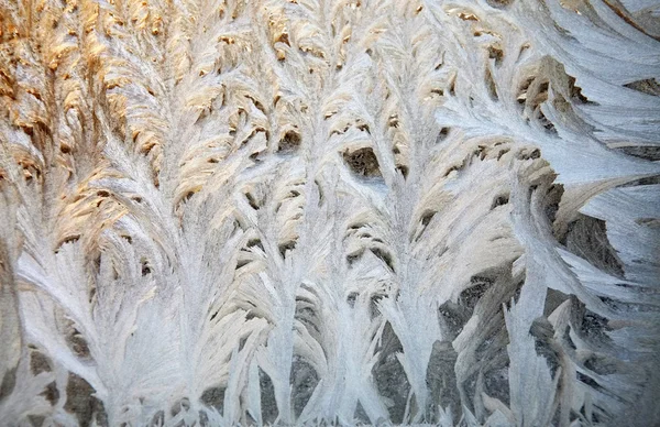 An ornament of frost on a window — Stock Photo, Image