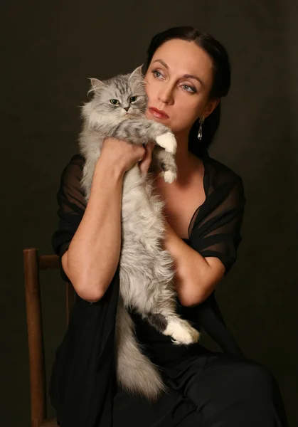 चांदी बिल्ली के साथ महिला — स्टॉक फ़ोटो, इमेज