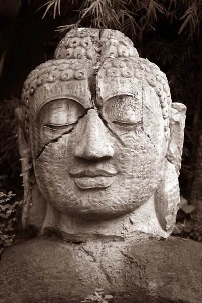 Buddha ansikte — Stockfoto