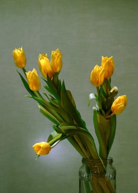 Sarı lale demeti