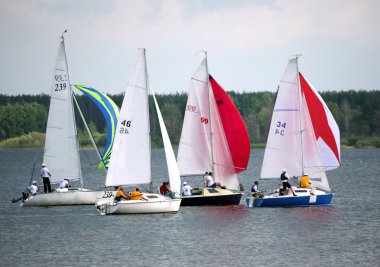 Regatta clipart