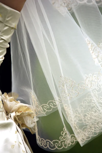 Свадебная вуаль — стоковое фото
