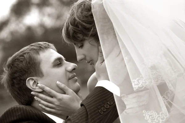 Casal recém-casado — Fotografia de Stock