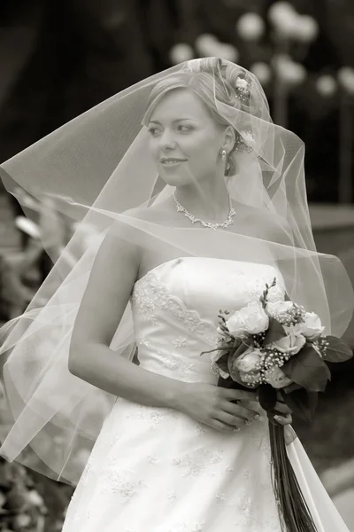 Όμορφη νύφη. — Φωτογραφία Αρχείου
