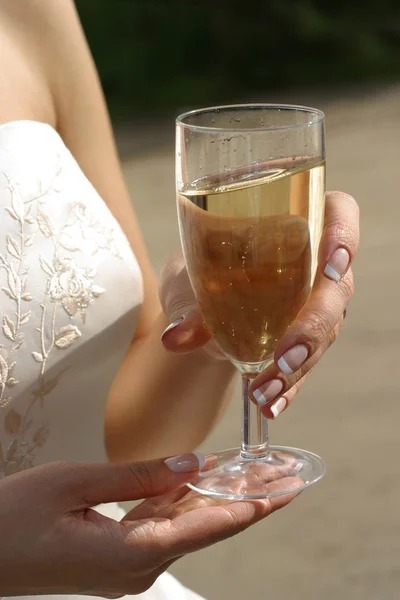 stock image Glass of champagne