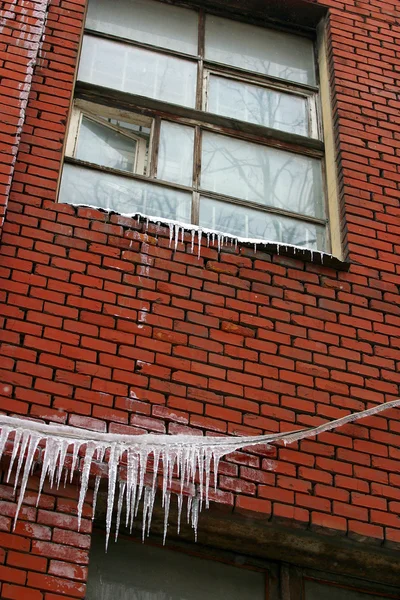 Замороженное окно — стоковое фото