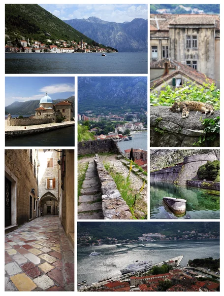 Kotor. Czarnogóra — Zdjęcie stockowe