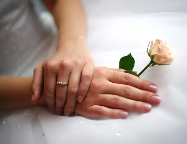 Les mains de la mariée — Photo