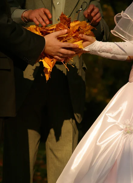 新婚的夫妇-婚礼的细节 — 图库照片