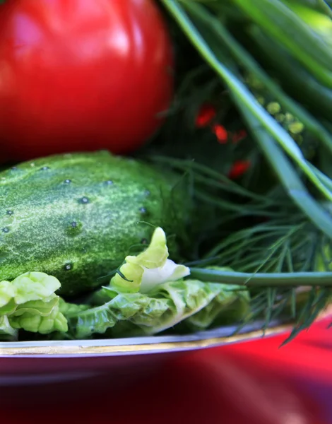 Verdure per insalata — Foto Stock