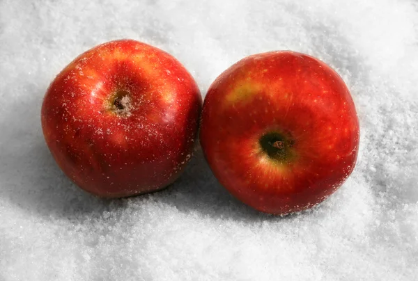 Kırmızı elma — Stok fotoğraf