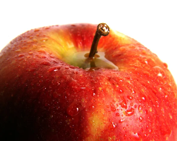Mokré jablko — Stock fotografie