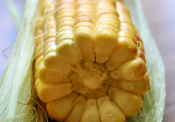 Wet corn — Stock Photo, Image