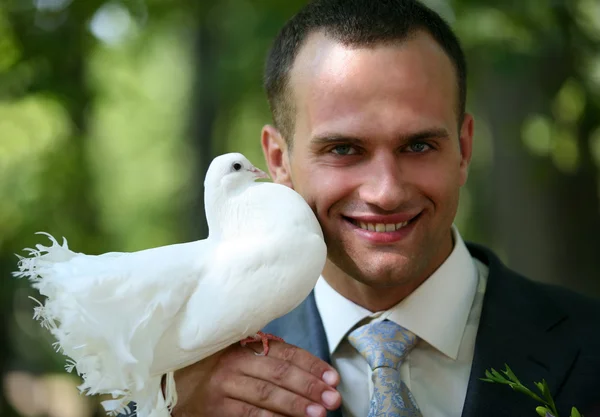 Groom with the pigeon — Stock Photo, Image