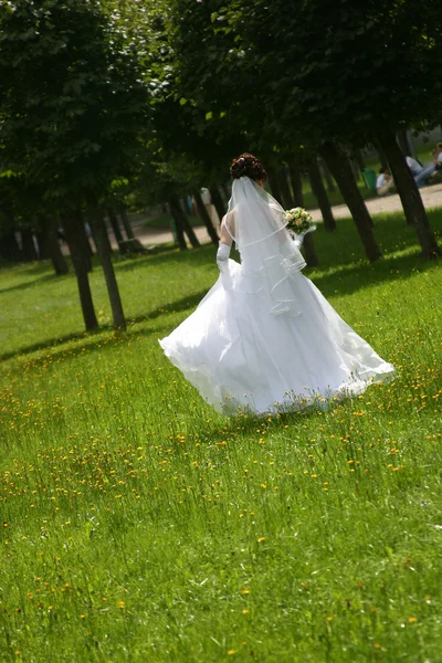 A noiva no parque — Fotografia de Stock