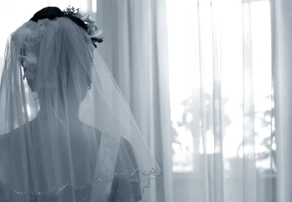 Silhouette della sposa — Foto Stock