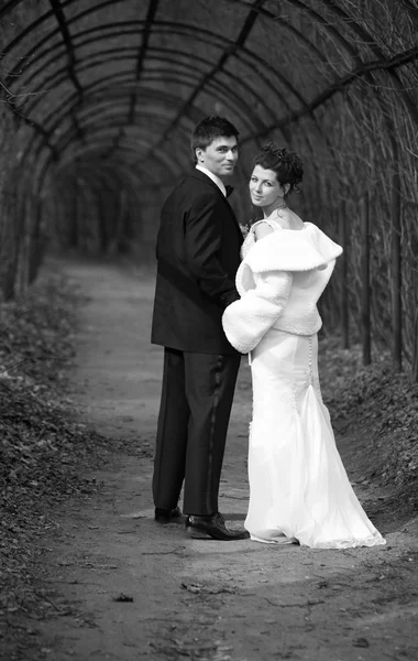 新婚カップル — ストック写真