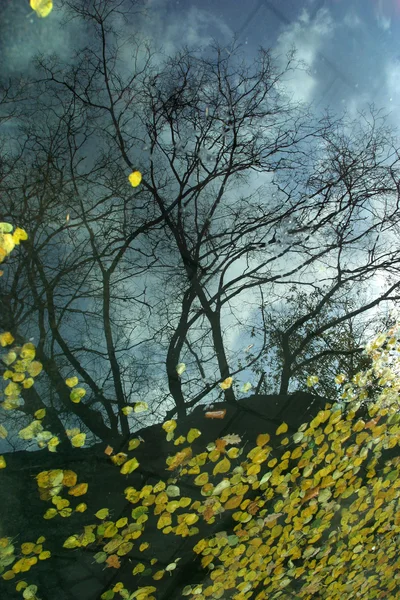 Reflections of an autumn — Stockfoto