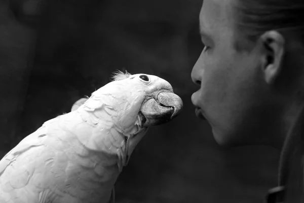 Parrot and the man — Stock Photo, Image