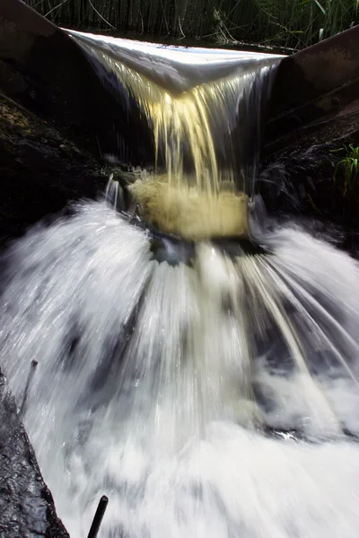 Air terjun di hutan. — Stok Foto