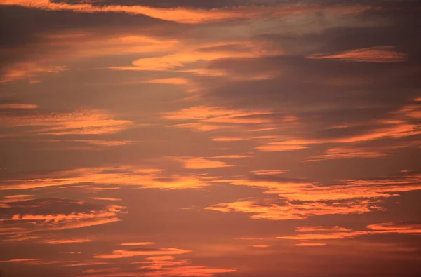 Sunset sky — Stock Photo, Image