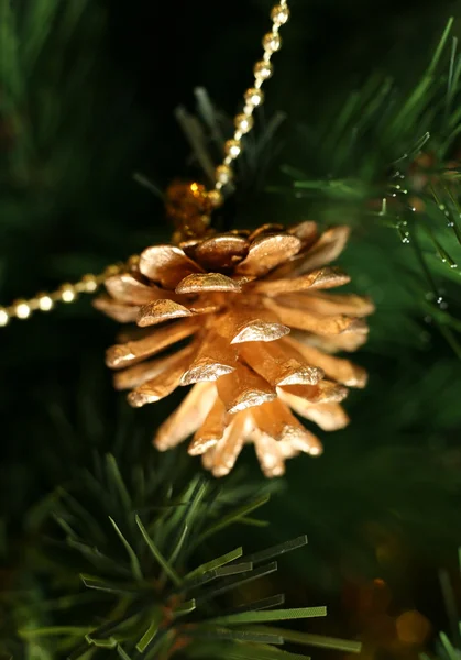 Gold pine cones — Stock Photo, Image