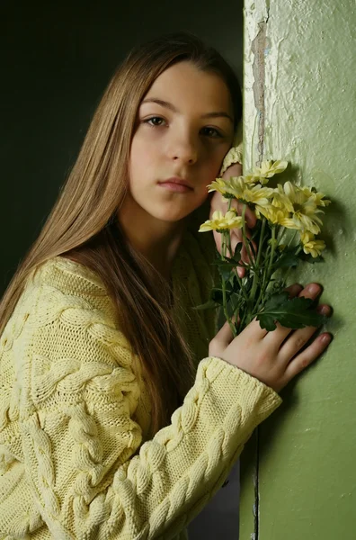 Желтые хризантемы — стоковое фото