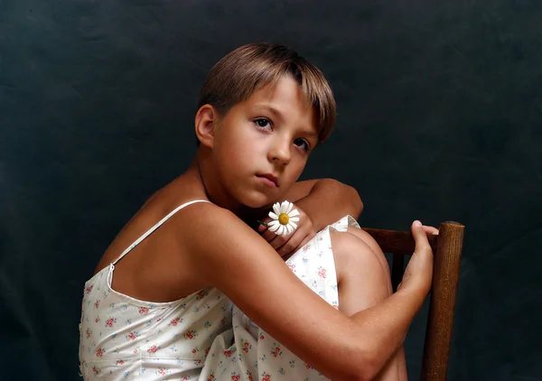 Девушка с ромашкой в студии — стоковое фото