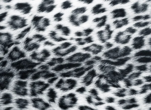 Piel del leopardo — Foto de Stock