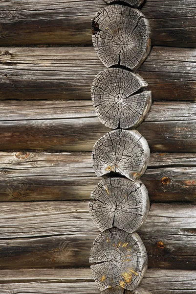 Wand aus Baumstämmen — Stockfoto