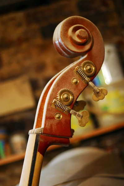 Budoucí housle — Stock fotografie