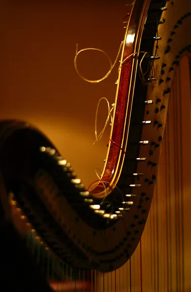 Detalhe da harpa — Fotografia de Stock