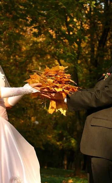 Autumn wedding — Stock Photo, Image