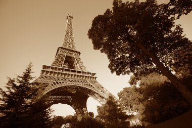 Eiffel Tower clipart