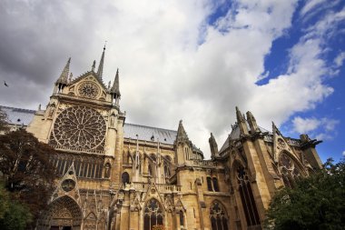 Notre dame de Paris