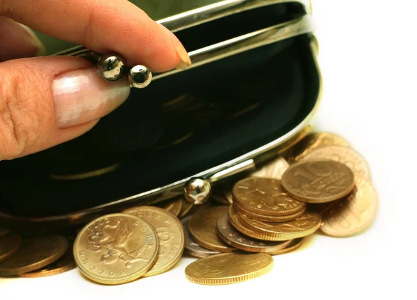 Monedero con monedas — Foto de Stock