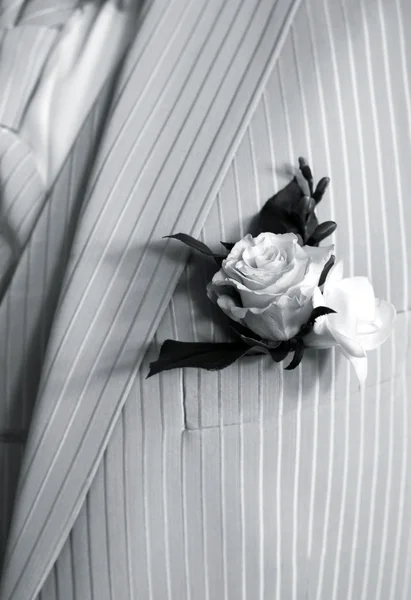 stock image Buttonhole with rose