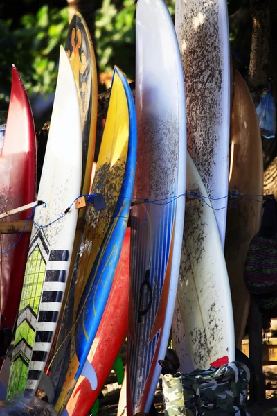 Surfing boards — Stock Photo, Image