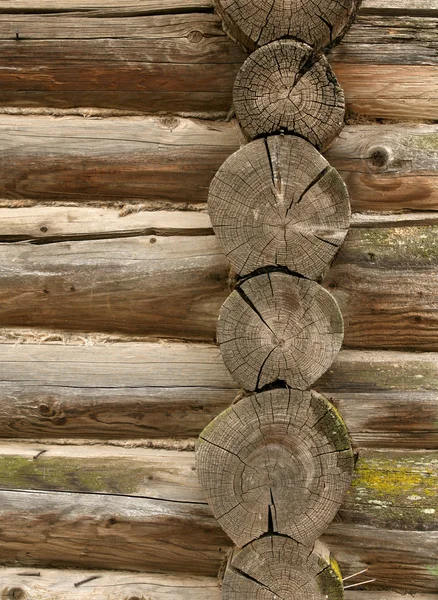 Wand aus Baumstämmen — Stockfoto