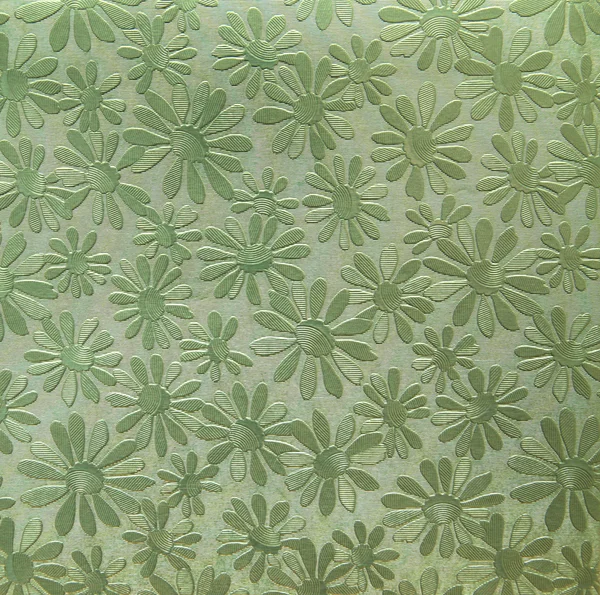 Libro verde con camomille — Foto Stock