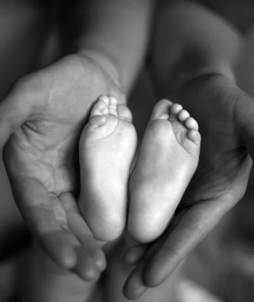 Bebé niño piernas — Foto de Stock