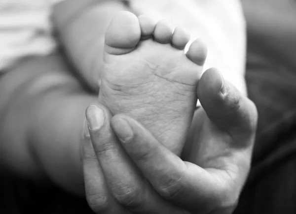 Baby boy ноги — стокове фото