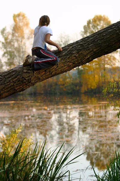 木の上の少女 — ストック写真