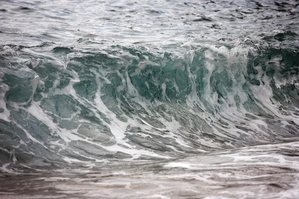 Θαλάσσιο κύμα/τσουνάμι — Φωτογραφία Αρχείου